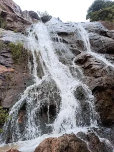 unnamed - 2025-09-23T110653.889